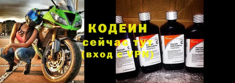 Codein Purple Drank  гидра маркетплейс  Александровск 